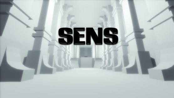 ze_re_sens 封面